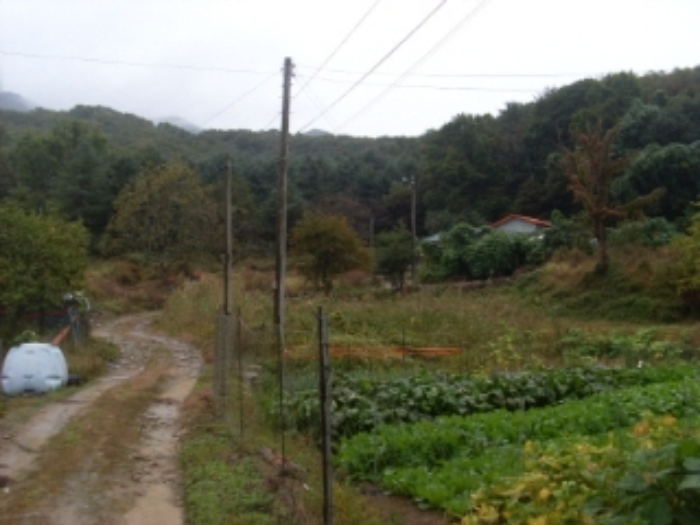 인천지법 2013타경79650-1 사진