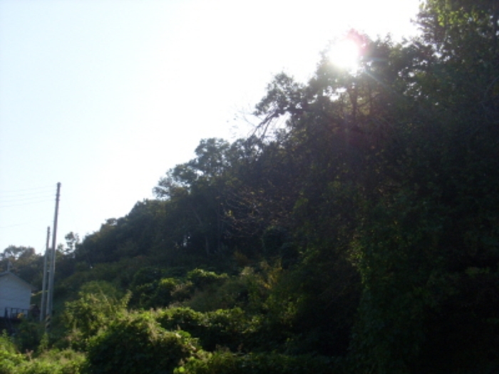 인천지법 2013타경79841-1 사진
