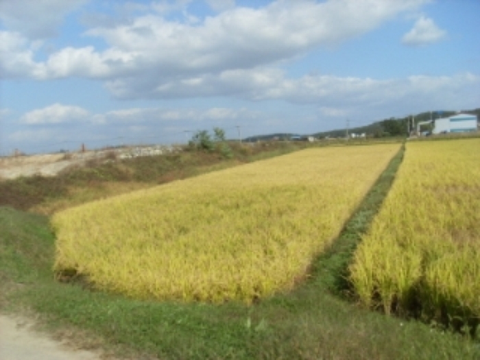 인천지법 2013타경81950-1 사진