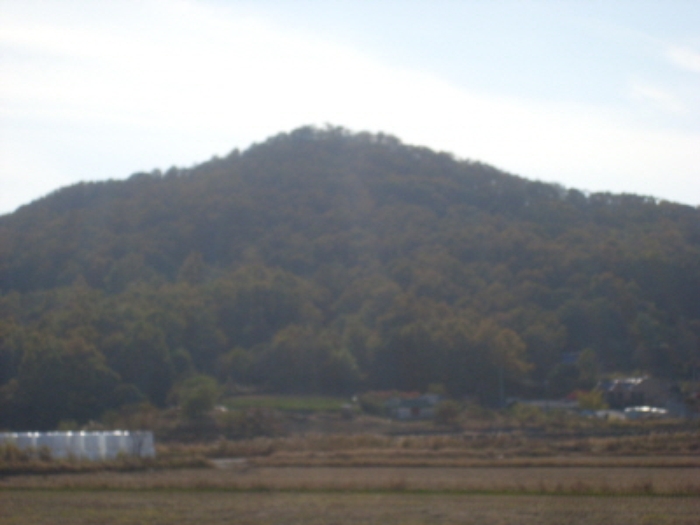인천지법 2013타경82960-1 사진