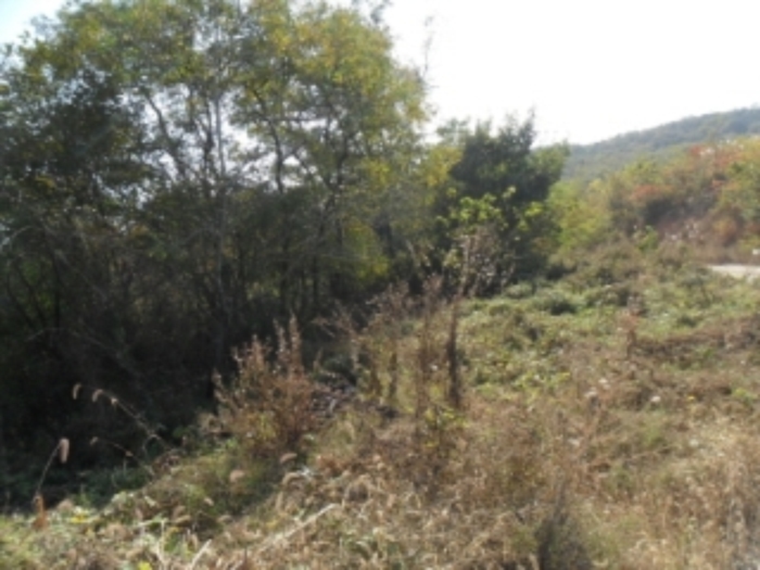 인천지법 2013타경83086-1 사진