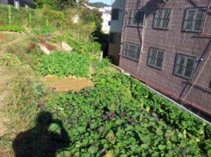 인천지법 2013타경83635-1 사진