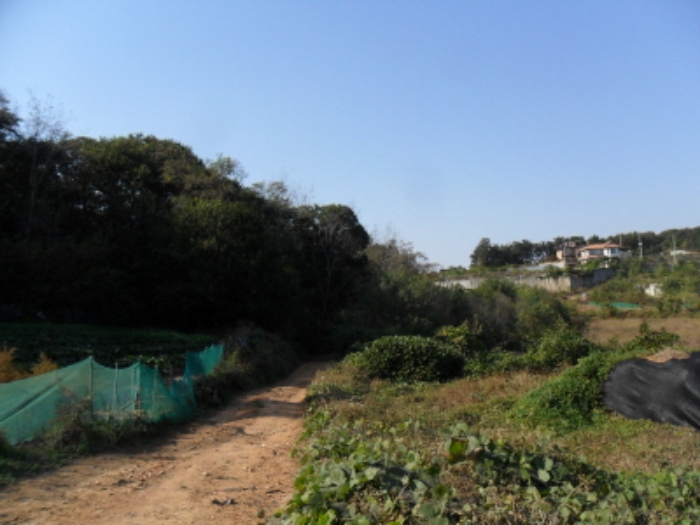 인천지법 2013타경84034-1 사진