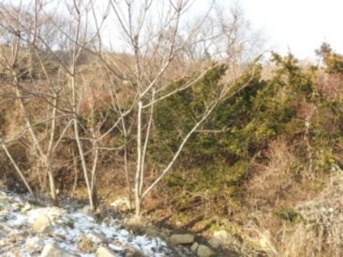 인천지법 2013타경88975-2 사진