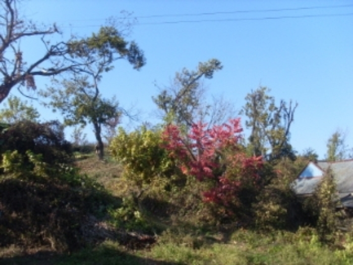 인천지법 2013타경92219-2 사진