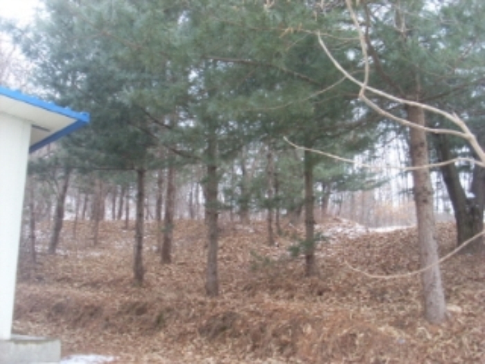 인천지법 2014타경1548-2 사진