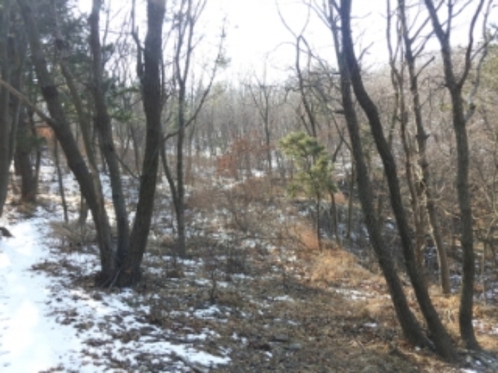 인천지법 2014타경7904-1 사진