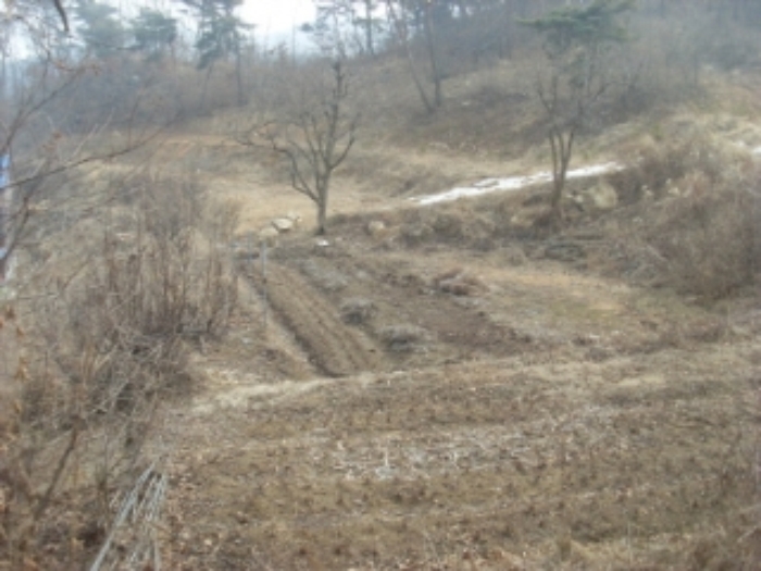 인천지법 2014타경8082-1 사진