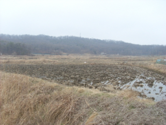 인천지법 2014타경10320-1 사진