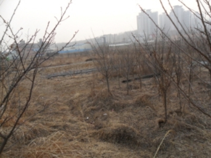인천지법 2014타경10665-1 사진