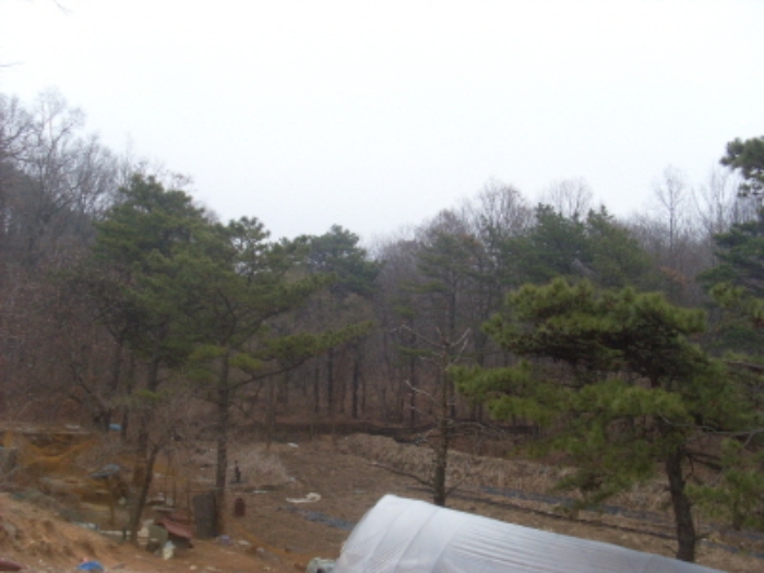 인천지법 2014타경13855-1 사진