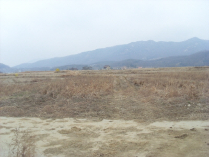 인천지법 2014타경16151-1 사진