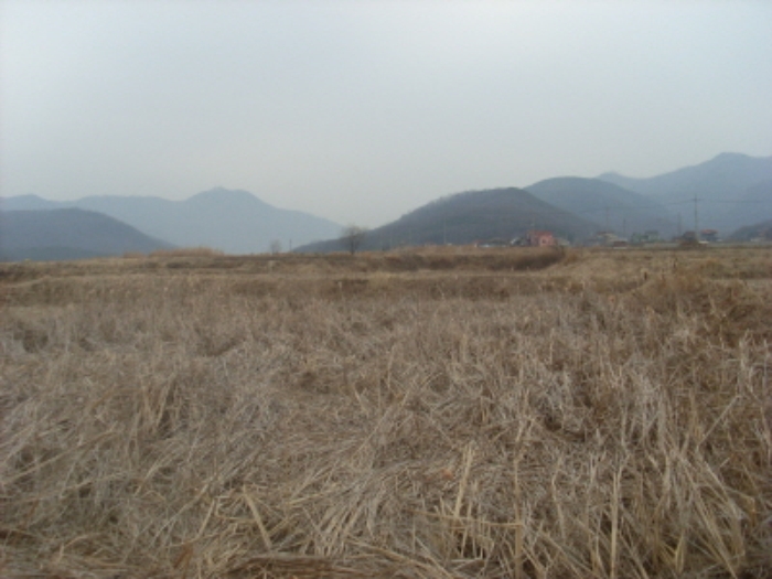 인천지법 2014타경16182-1 사진