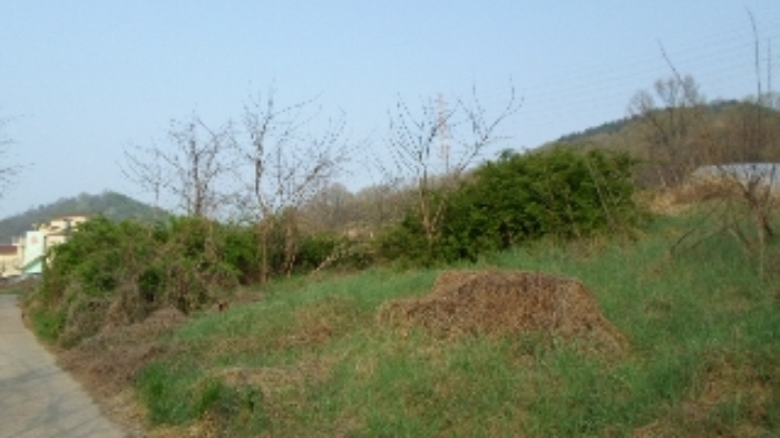 인천지법 2014타경24404-1 사진