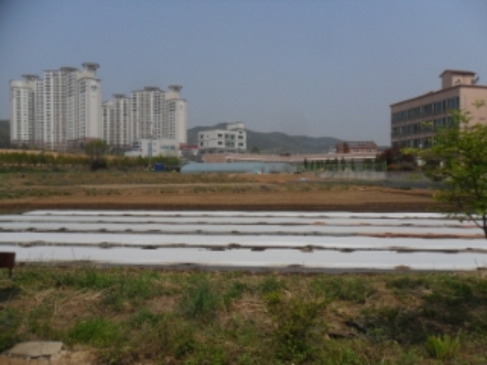 인천지법 2014타경26196-1 사진