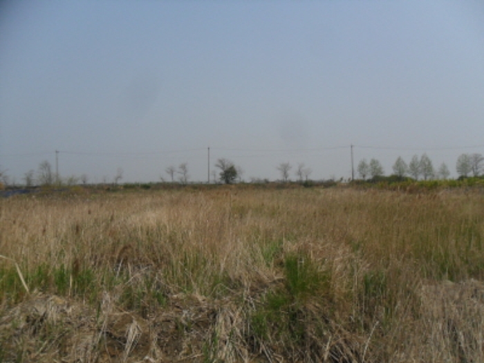 인천지법 2014타경26202-1 사진