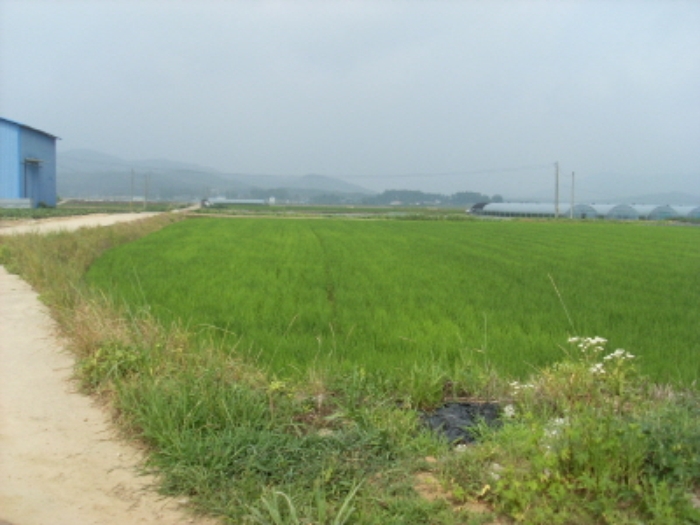 인천지법 2014타경35534-1 사진