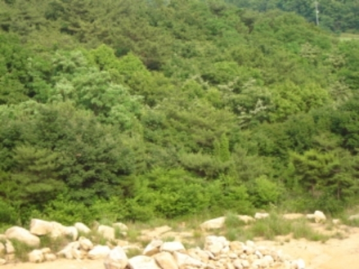 인천지법 2014타경36636-1 사진
