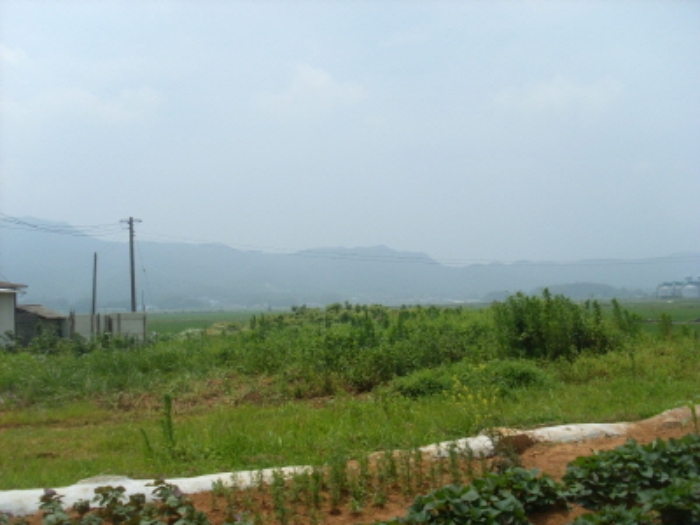 인천지법 2014타경44255-1 사진