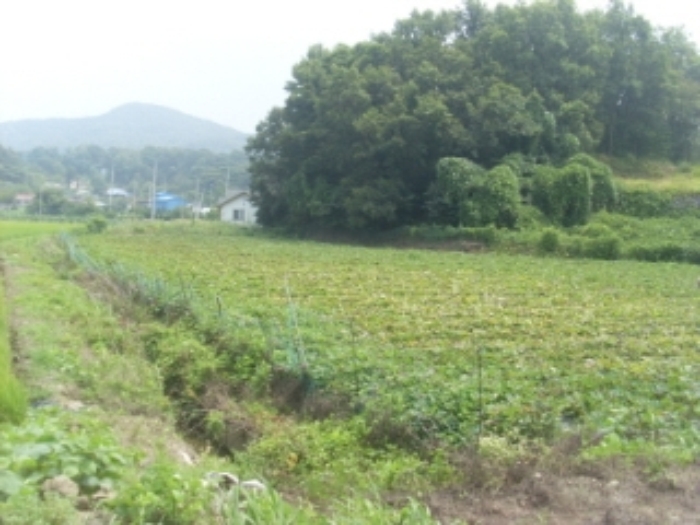인천지법 2014타경44767-1 사진