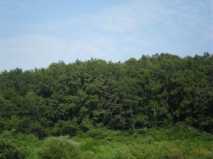 인천지법 2014타경49014-1 사진