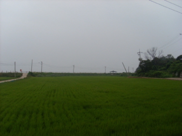인천지법 2014타경49656-1 사진