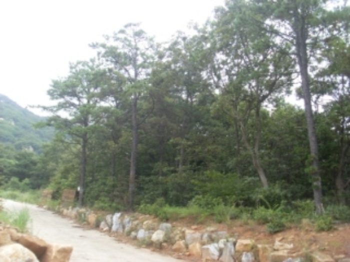 인천지법 2014타경50458-1 사진