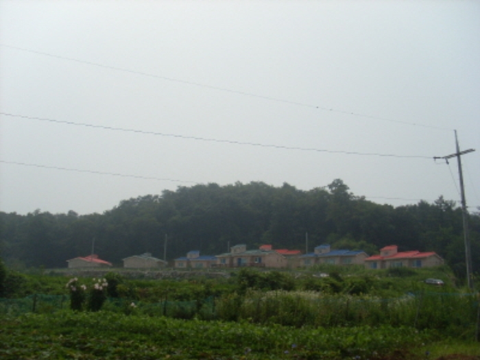 인천지법 2014타경51321-1 사진