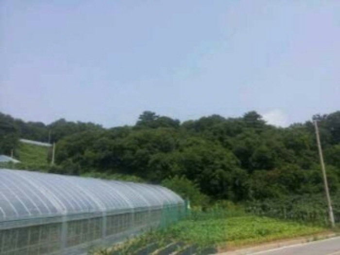 인천지법 2014타경54443-1 사진