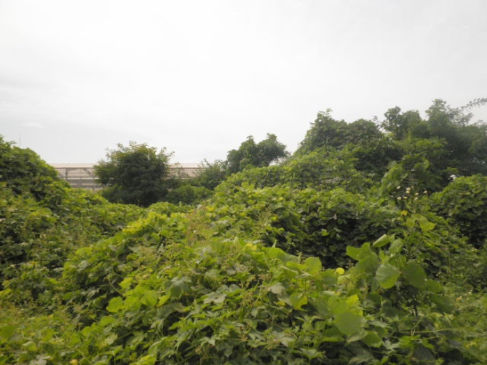 인천지법 2014타경59585-1 사진