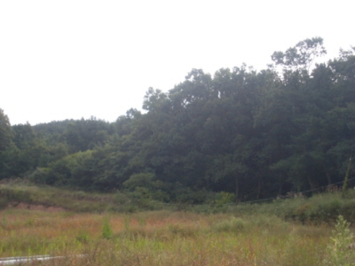 인천지법 2014타경60578-2 사진