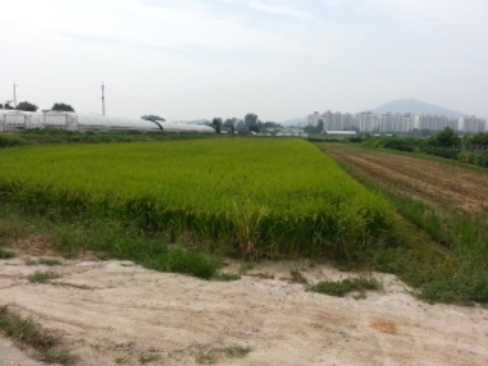 인천지법 2014타경61564-2 사진