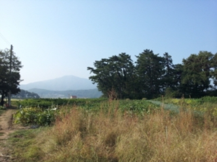 인천지법 2014타경62475-5 사진