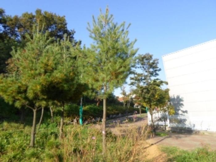인천지법 2014타경67739-1 사진