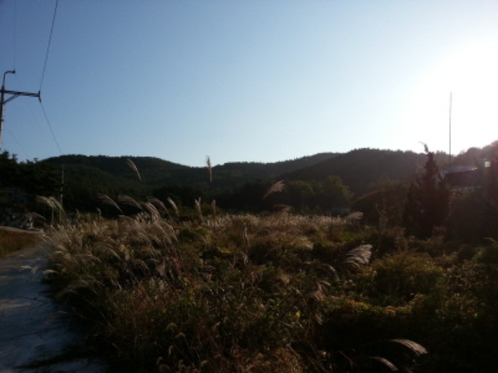 인천지법 2014타경70032-1 사진