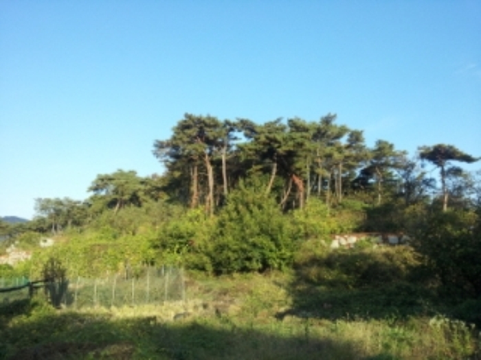 인천지법 2014타경70414-1 사진