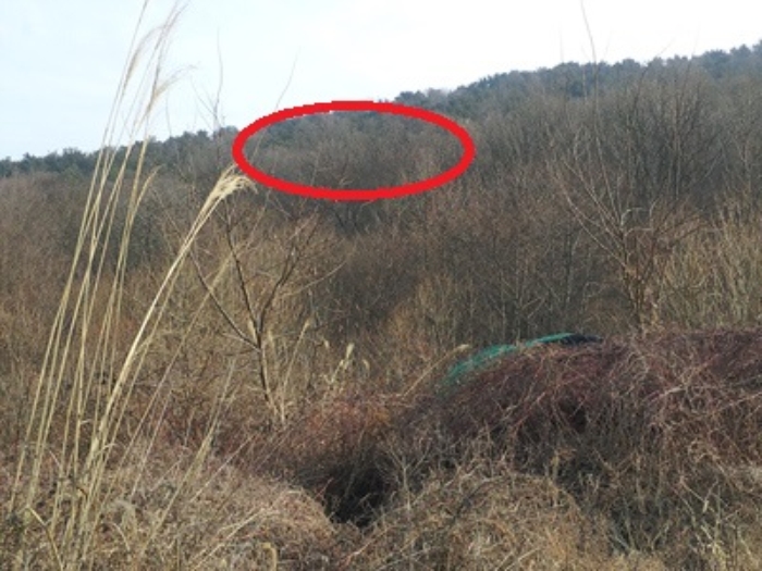 인천지법 2014타경80381-1 사진