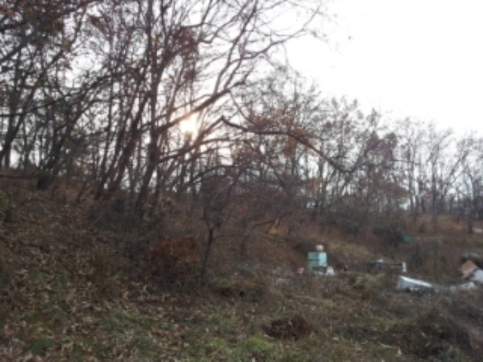 인천지법 2014타경80961-2 사진