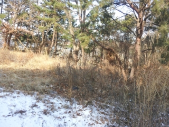 인천지법 2014타경82479-3 사진