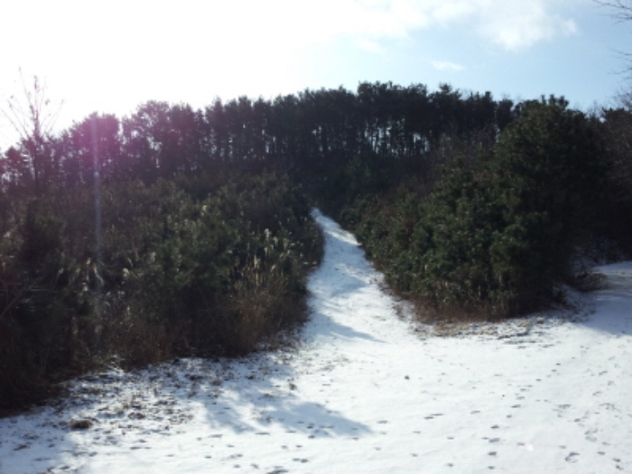 인천지법 2014타경82516-1 사진