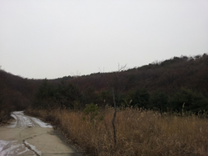인천지법 2014타경85119-1 사진