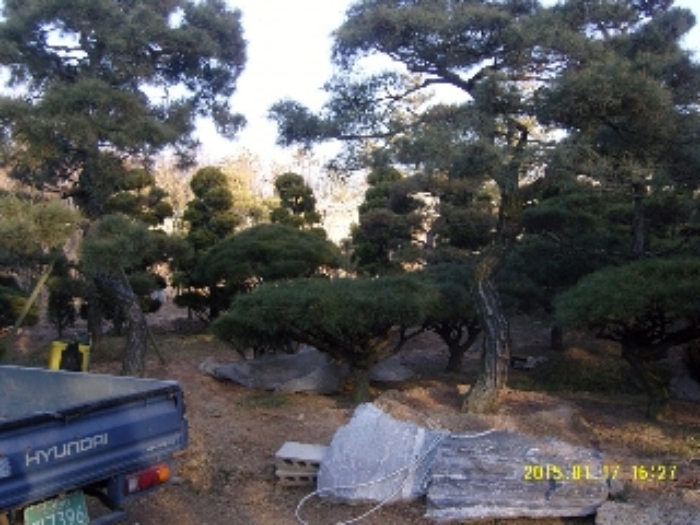 인천지법 2015타경474-1 사진