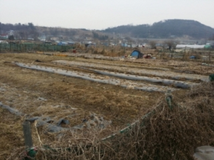 인천지법 2015타경2579-1 사진