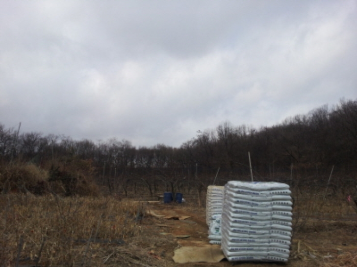 인천지법 2015타경7031-1 사진