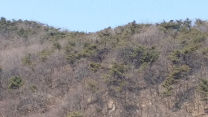 인천지법 2015타경12514-2 사진