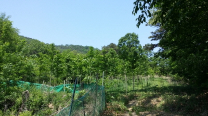 인천지법 2015타경25787-1 사진