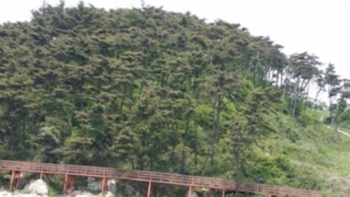 인천지법 2015타경27059-2 사진