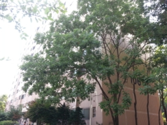 인천지법 2015타경31898-1 사진