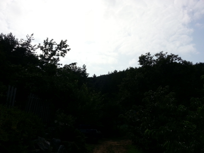 인천지법 2015타경33597-1 사진