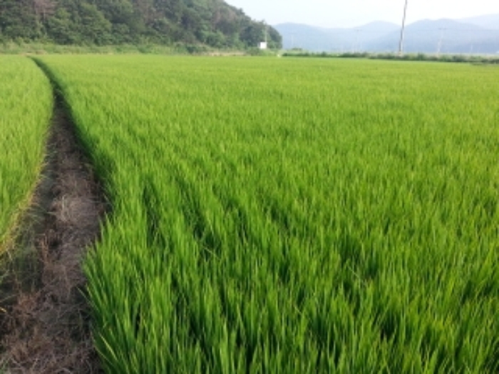 인천지법 2015타경35517-2 사진